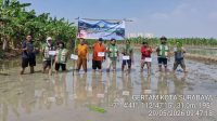 Resize_20260531_110013_3334