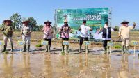 Resize_20260718_150645_5215